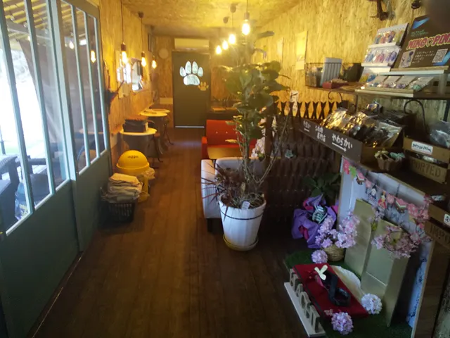 ドッグカフェ 88 hachi