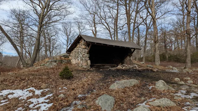 Dutch Doctor Shelter