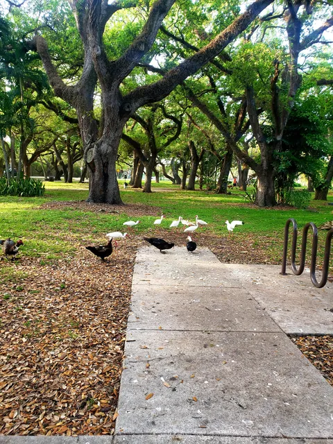 Charles F. Vollman Park