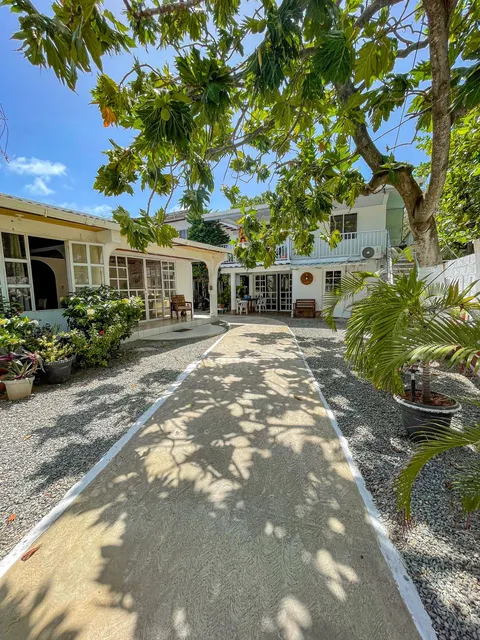 Posada Nativa Bread Fruit Yard