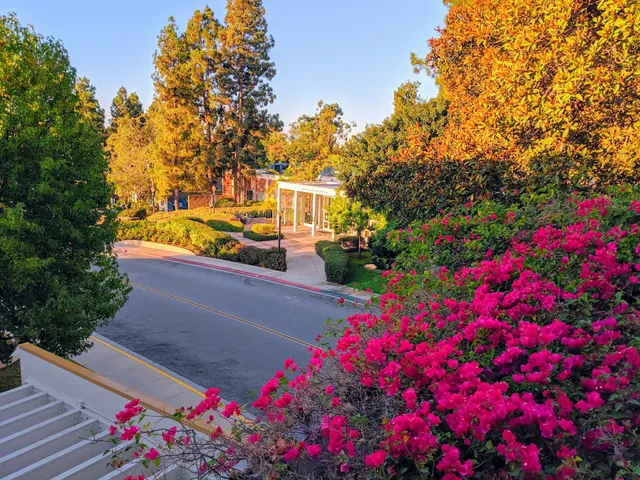 UCLA Luskin School of Public Affairs