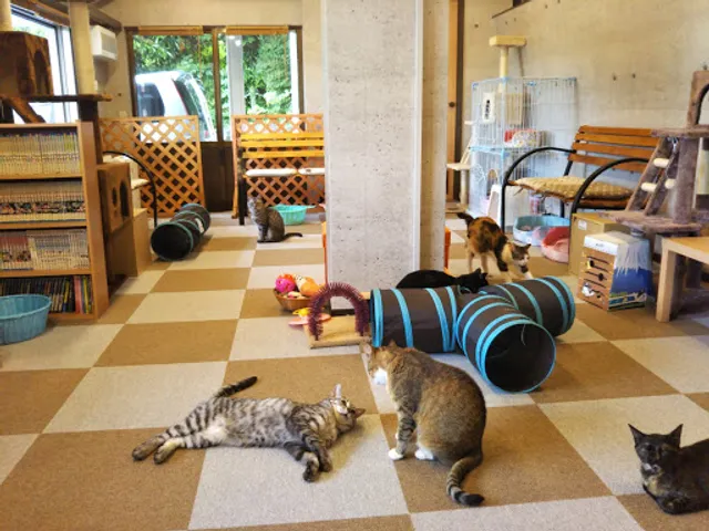 ねこカフェ にゃおん