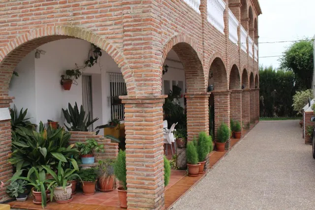 Apartamentos Bolonia Paraíso