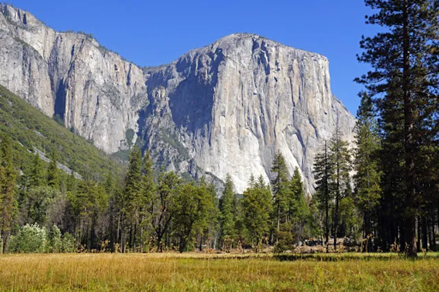 El Capitan Viewpoint