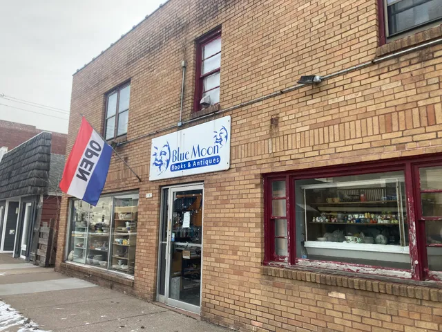 Blue Moon Books