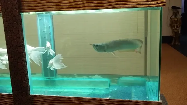 Hotel Susheel's Nest