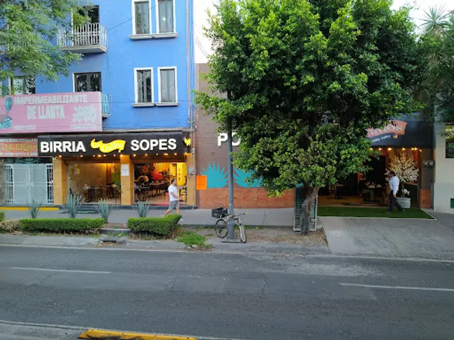 Los Gallos | San José el Alto