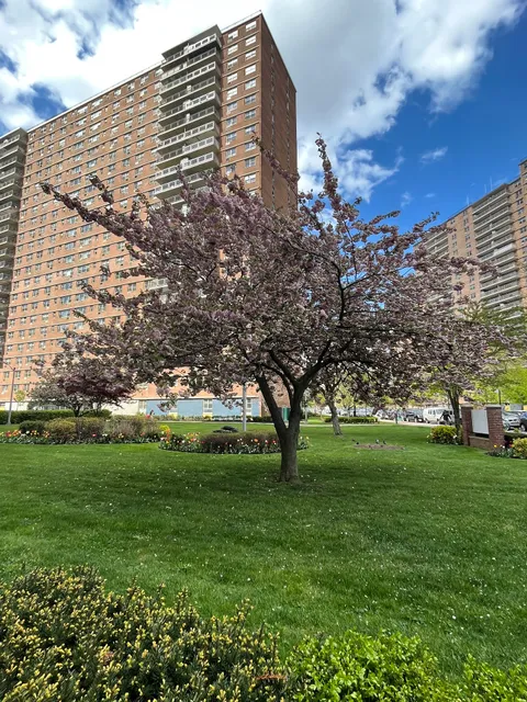 Trump Village Section 4