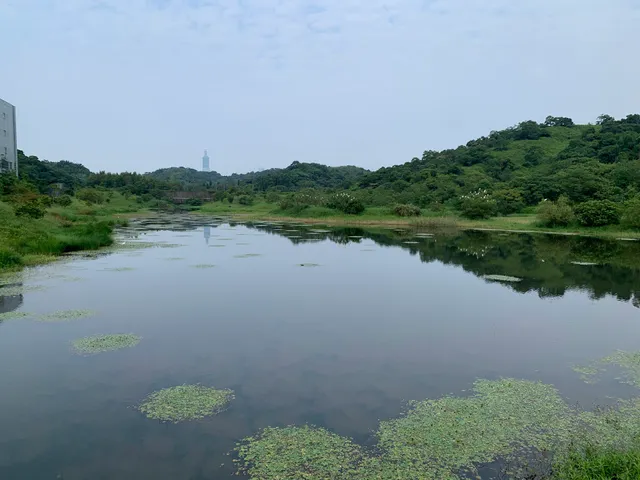 國家生技研究園區生態滯洪池