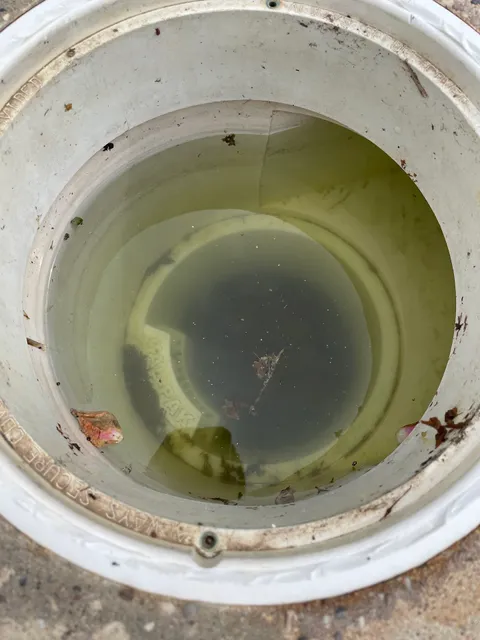 Southwest Pool & Spa