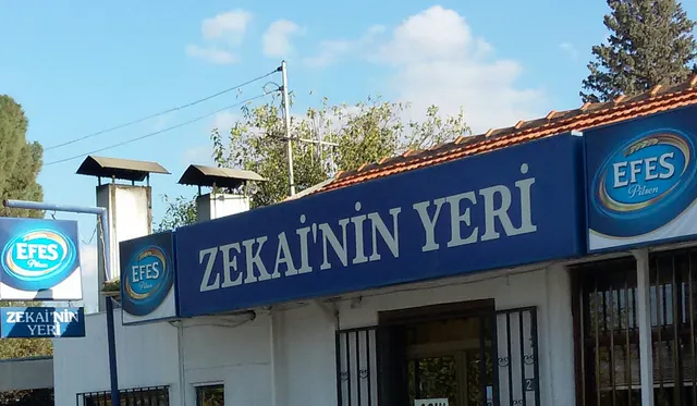 Zekanin Yeri