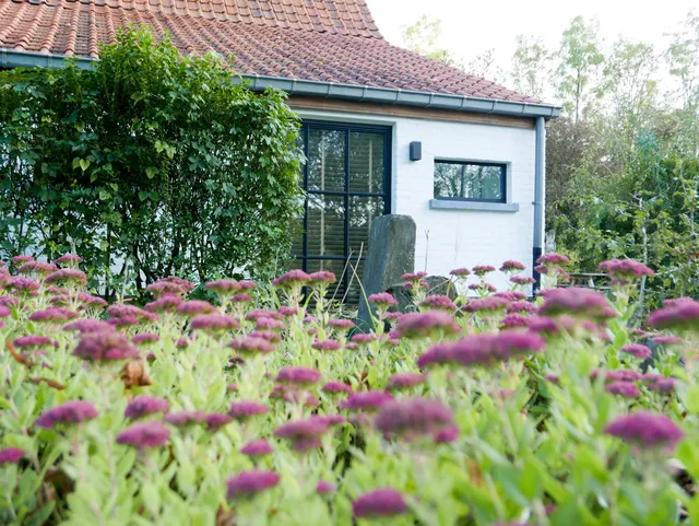 B&B De Gulle Beemden