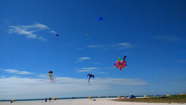 Treasure Island Kite Festival
