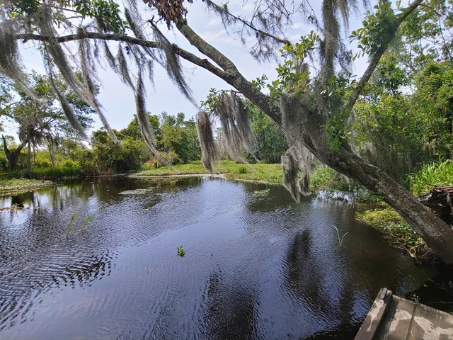 Barataria Preserve Visitor Center