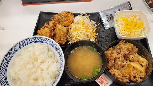 Yoshinoya Chuo-odori-fukaebashi