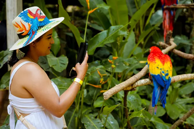 Macaw Mountain Bird Park