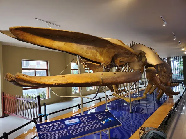 Museum of Oceanography