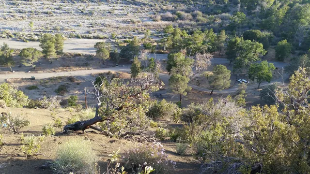 Sycamore Flat Campground