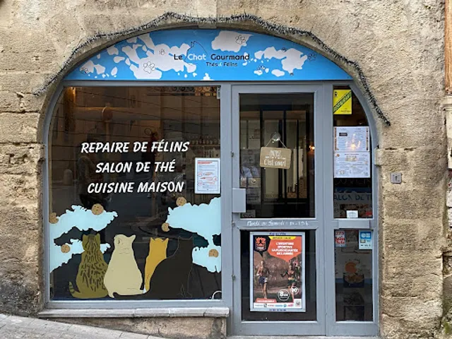 Le Chat Gourmand, Cats & Cookies | Bar à Chats Montpellier
