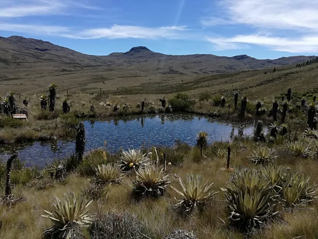 Laguna Pan de Azúcar