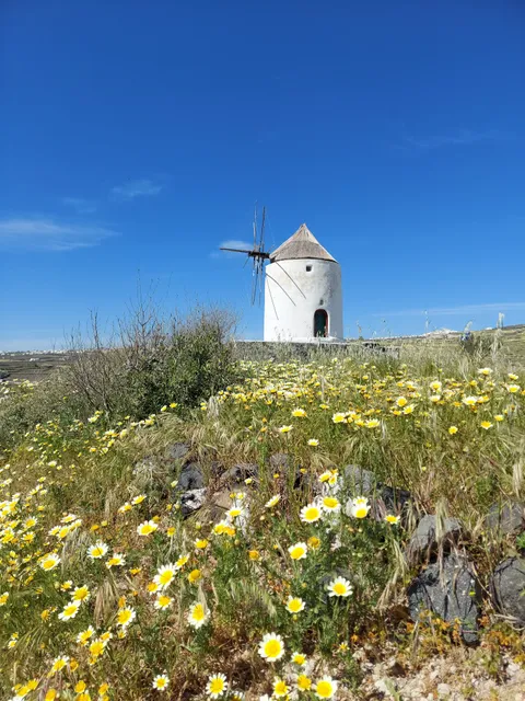 Windmill
