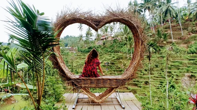 Ricefields Tegallalang