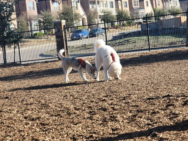 K9 Corral at Craig Ranch