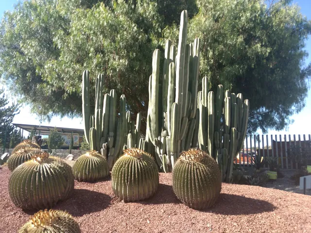 Rehilete Botanical Garden