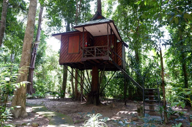 Khao Sok Nature Resort