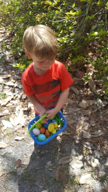 UNION POWER EQUIPMENT