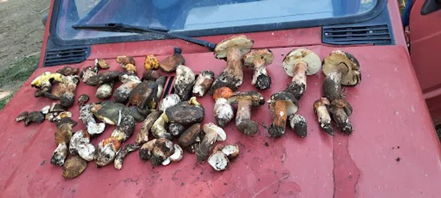 Anima Di Grano Pizzeria