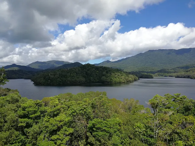 Freshwater Creek State Forest