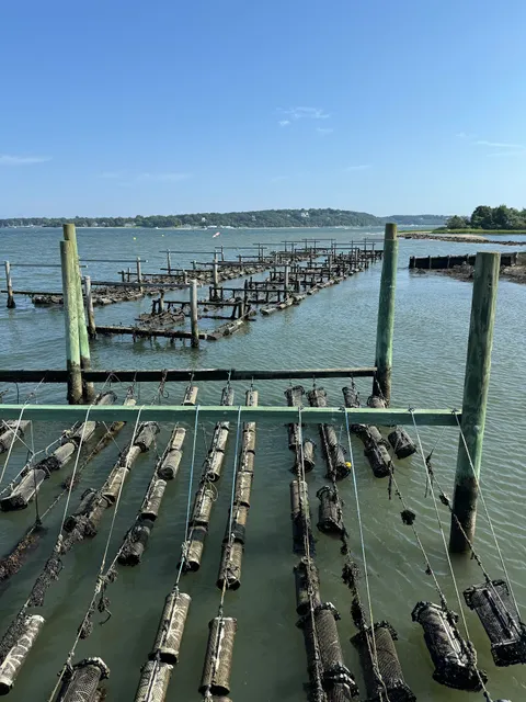 Widows Hole Oyster Co