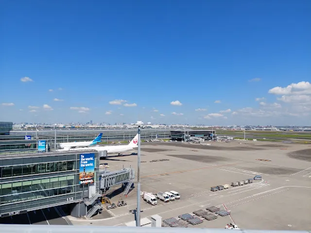 Terminal 3 Observation Deck