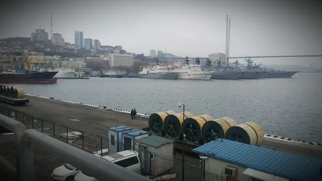 "33 Pingvina" Vladivostok