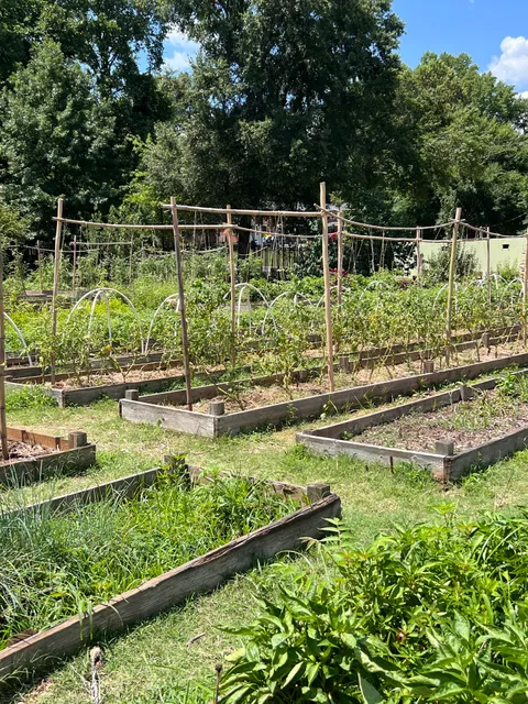 Truly Living Well Center for Natural Urban Agriculture - Collegetown Farm