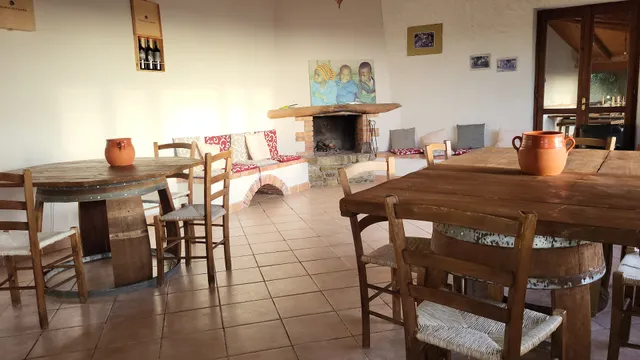 Viticoltori De Conciliis S.r.l