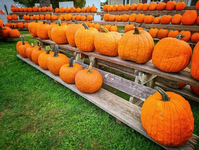 Edmondson's Farm & Nursery