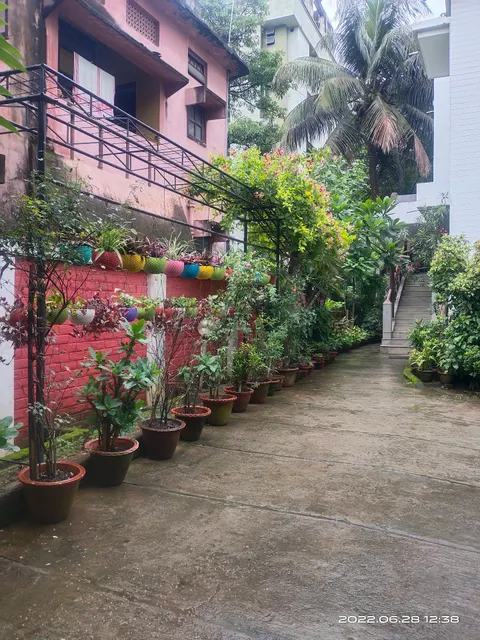 The Springbuck Homestay