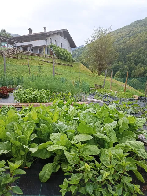 AGRITURISMO CASCINA CORNELLA