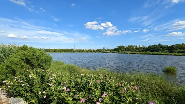Mill Creek Marsh Trail