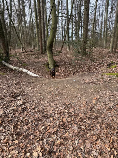 Kaiserbusch Stadtwald