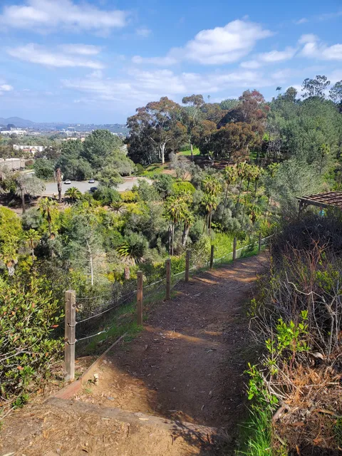 Palm Canyon, Presidio Park