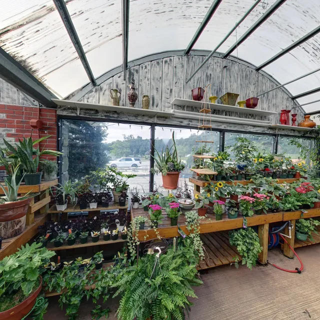 Hollandia Gift & Garden