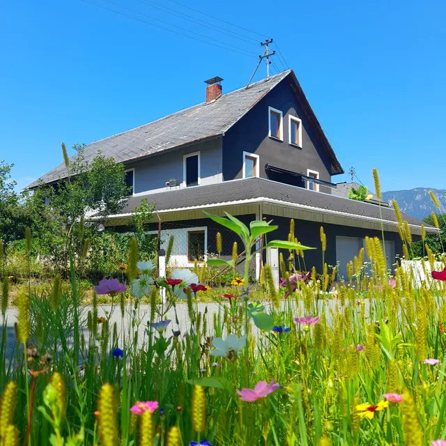 Lintschis Ferienwohnung