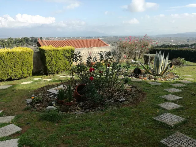 The Adams Studio in Oropos