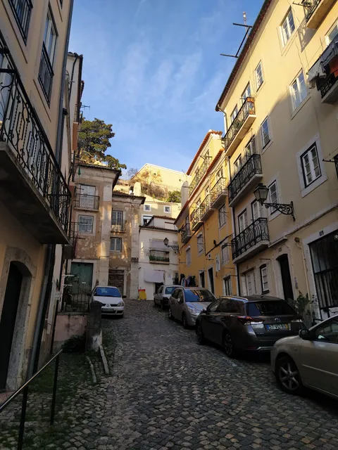 Alfama's nest
