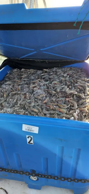 Jessica Gail Seafood