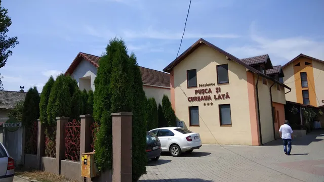 Puşca Şi Cureaua Lată