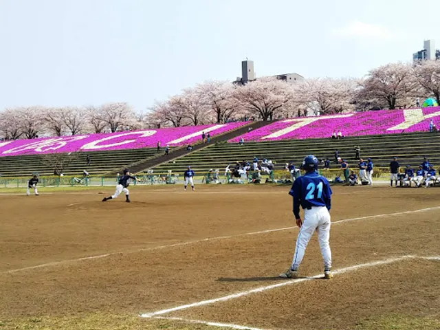 Shin-Arakawa-Ōhashi Baseball Field